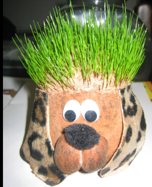 Recycle Me! Make Your Own Chia Pet Mesa Public Library